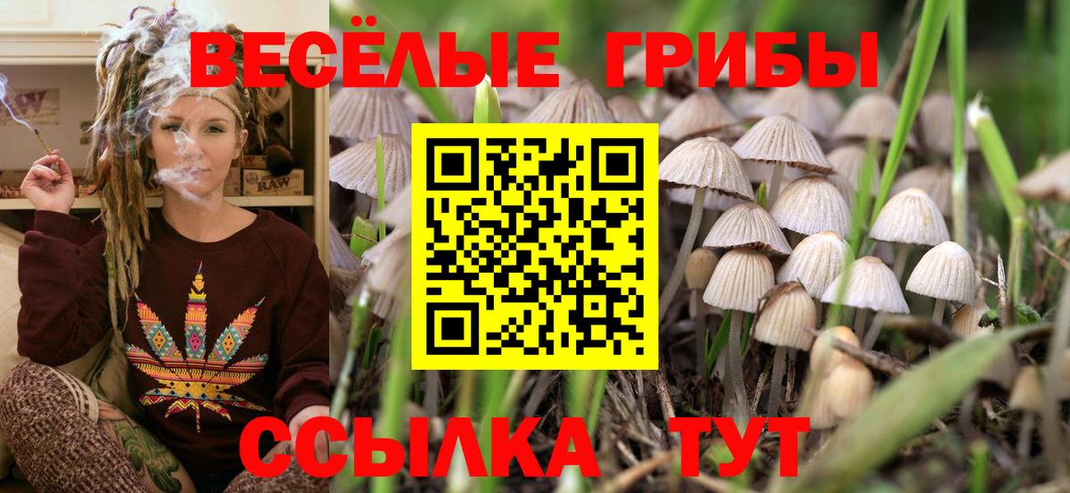 где найти   Вход с VPN  Щёлково  Псилоцибиновые грибы ЛСД  Галлюциногенные грибы GOLDEN TEACHER 