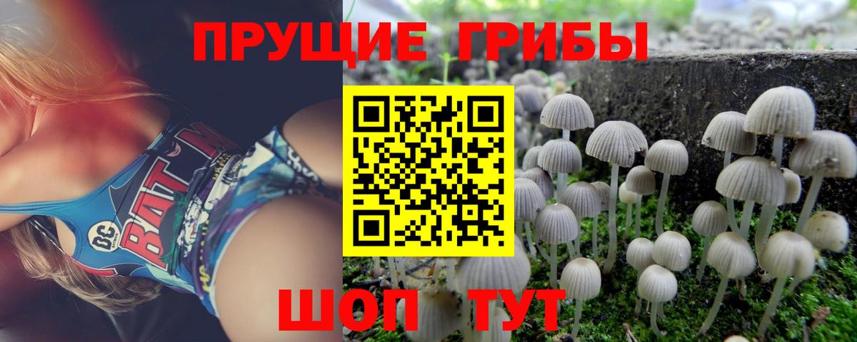 МДМА  Вход с VPN  КОКАИН  Гашиш  Мефедрон   ТГК  Щёлково  Канабис  LSD-25 